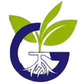 HSIE logo